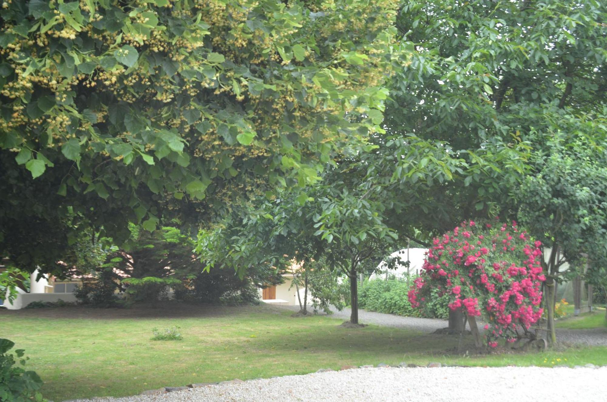 Chambres D'Hotes La Forterie Vairé Buitenkant foto